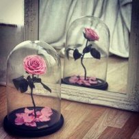 Розы в стекле_фото 1
