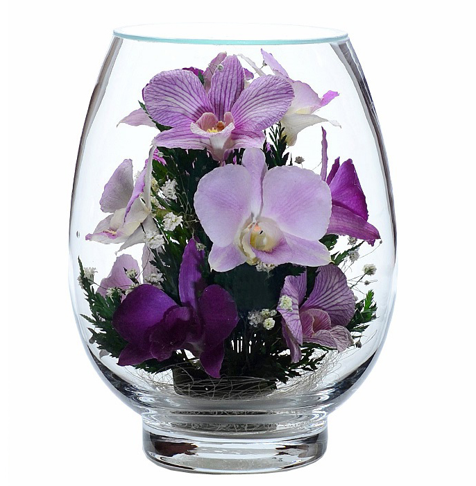Орхидеи в стекле_фото 1