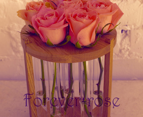 7 розовых роз в пробирке на круглой подставке