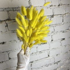 Натуральный ярко-желтый сухоцвет лагурус 60см 60 шт