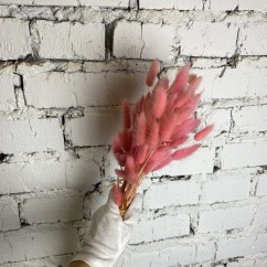 Сухоцвет перламутро-розовый Лагурус 60см 60шт для кухни