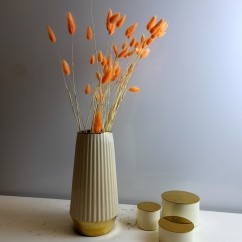Сухоцвет оранжевый Лагурус 60см 60шт для флористов
