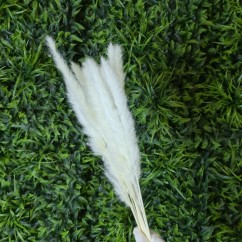 Белая пампасная трава для кухни