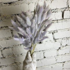 Сухоцвет светло-фиолетовый Лагурус 60см 60шт для арки