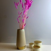 Сухоцвет ультро-розовый Лагурус