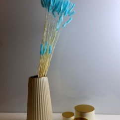 Сухоцвет аквамариновый Лагурус 60см 60шт для кофейного столика