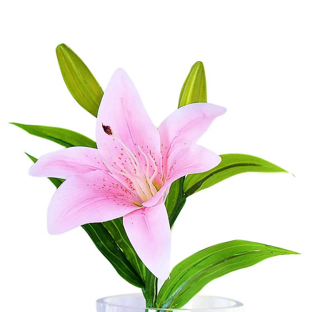 Композиция Индивидуальный заказ