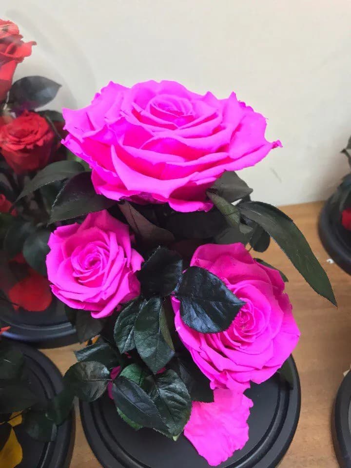 Кустовая роза в колбе