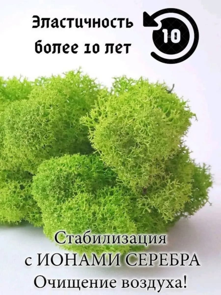 Мох стабилизированный 100 грамм для декора помещений