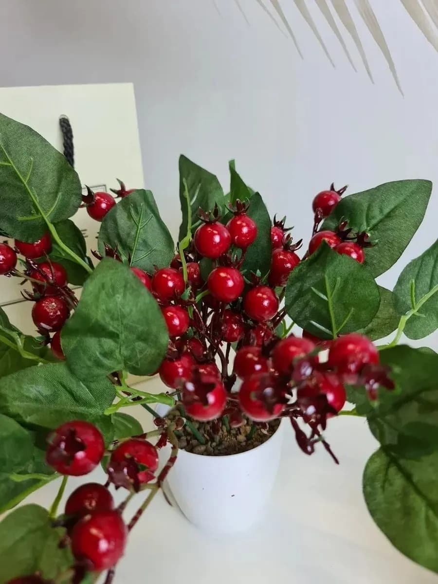 ИСКУССТВЕННЫЙ ШИПОВНИК В КАШПО