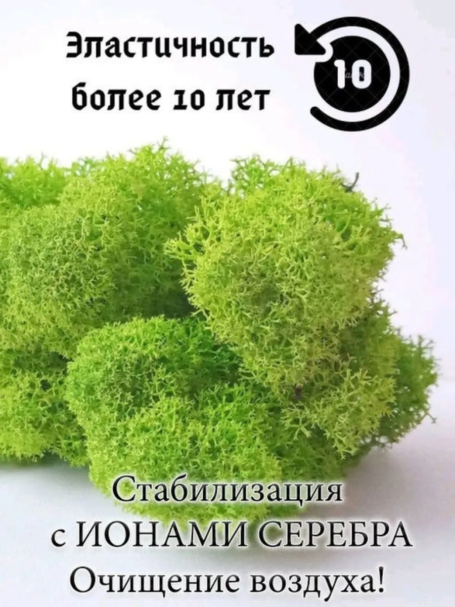 Мох стабилизированный 100 грамм для декора помещений